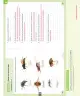 Miniatura página 106 de Ciencias Naturales – Segundo Básico | Texto del Estudiante MINEDUC – Descargar PDF · 2024