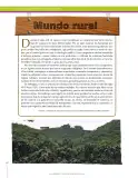 Miniatura página 262 de Ciencias Sociales 8° · Secundaria Activa