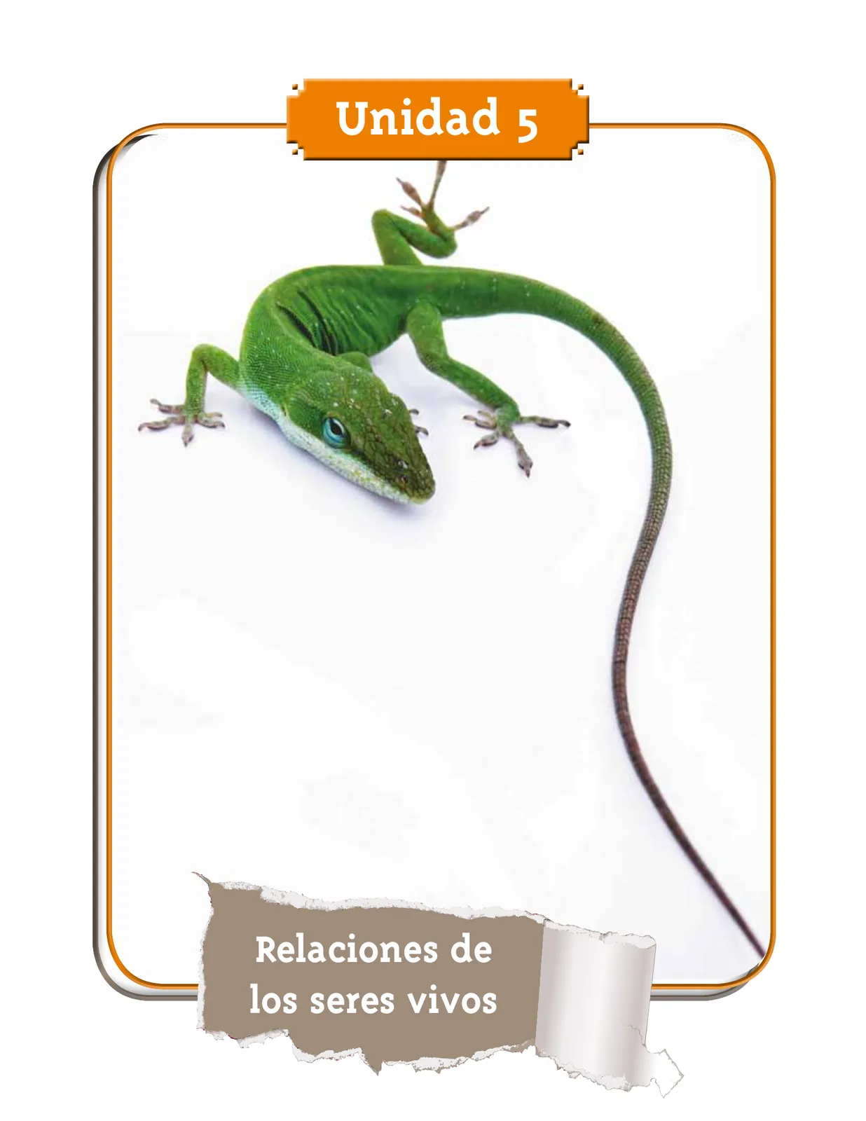 Pág 47
