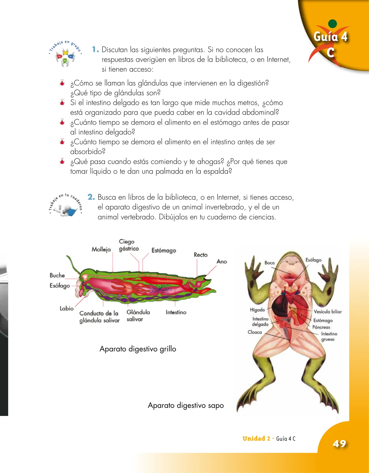 Página 49 de Ciencias Naturales 5° · Cartilla 01