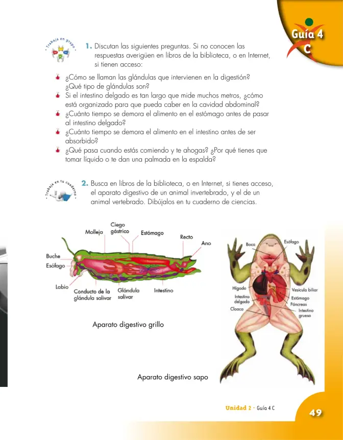 Página 49 de Ciencias Naturales 5° · Cartilla 01
