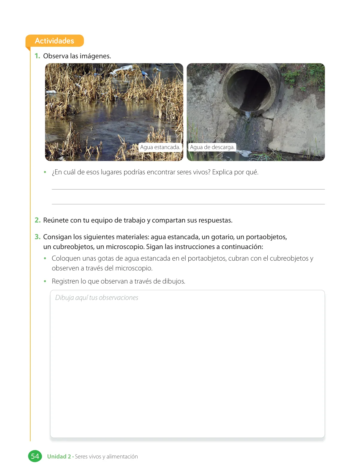 Página 56 de Libro de Ciencias Naturales – Quinto Básico | Texto del Estudiante MINEDUC – Descargar PDF · 2024