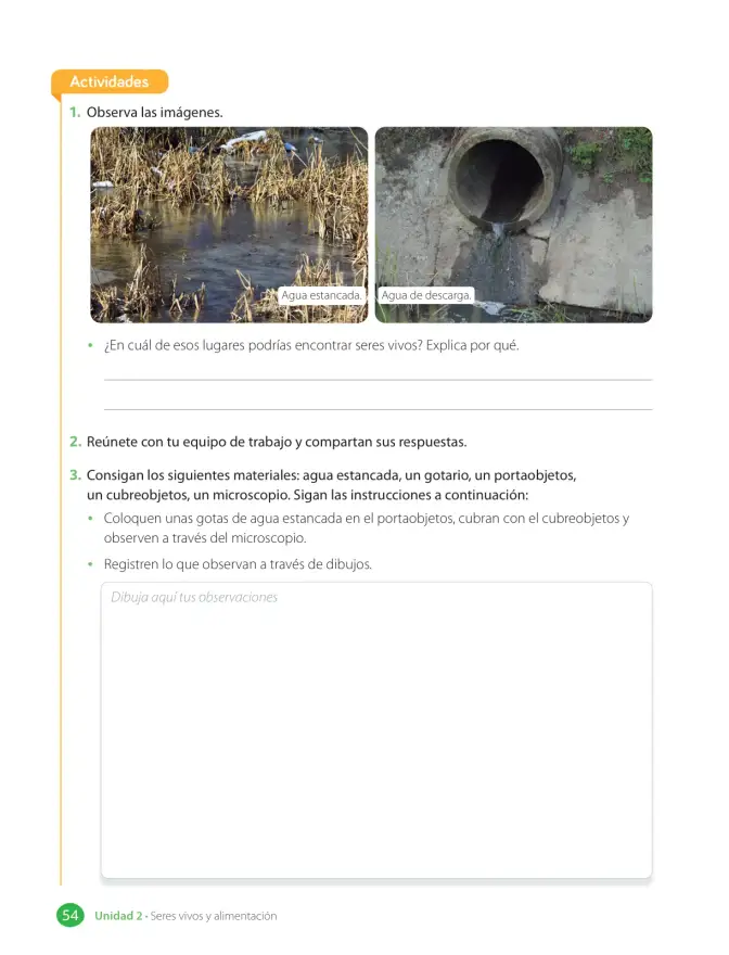 Página 56 de Libro de Ciencias Naturales – Quinto Básico | Texto del Estudiante MINEDUC – Descargar PDF · 2024