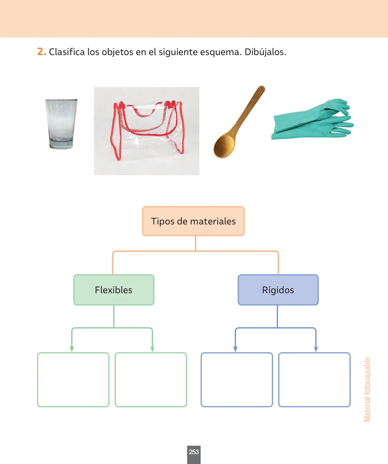 Página 62 de Ciencias Naturales – Primero Básico | Texto del Estudiante (MINEDUC) – Descargar PDF · 2024
