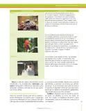 Miniatura página 189 de Ciencias Naturales 6° · Secundaria Activa