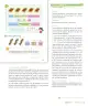 Miniatura página 37 de Sumo Primero – Segundo Básico | Texto del Estudiante MINEDUC – Descargar PDF · 2024