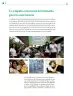 Miniatura página 177 de Colección Ximhai. De lo humano y lo comunitario.   Libro de Educación Telesecundaria Grado 1°  Ciclo Escolar 2025 - 2026
