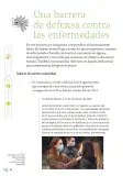 Miniatura página 117 de Proyectos de Aula.   Libro de Educación Primaria Grado 6°  Ciclo Escolar 2025 - 2026