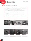 Miniatura página 30 de Inglés – Quinto Básico | Cuaderno de Actividades MINEDUC – Descargar PDF · 2023