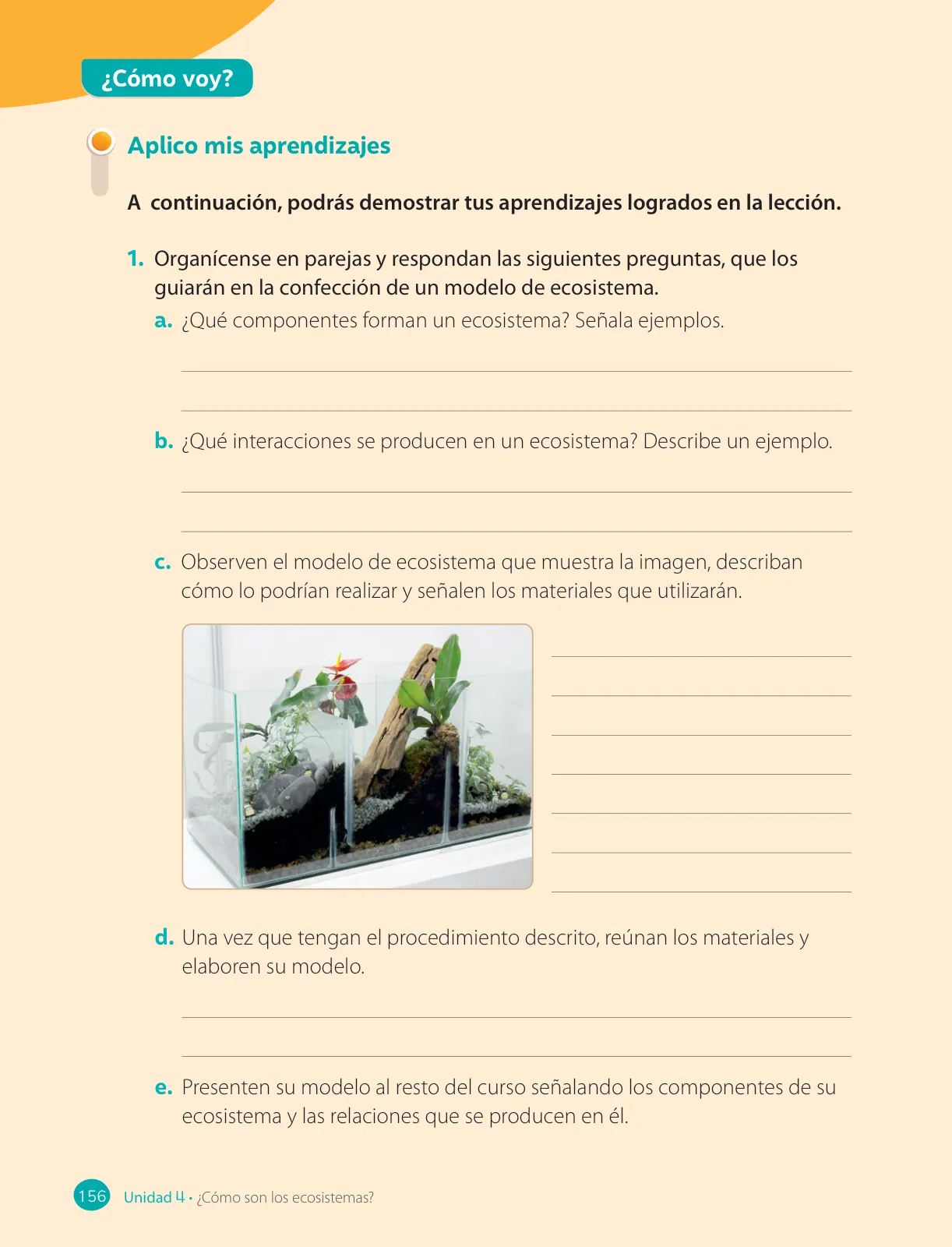 Página 158 de Ciencias Naturales – Cuarto Básico | Texto del Estudiante MINEDUC – Descargar PDF · 2024
