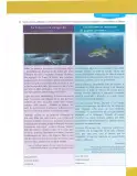 Miniatura página 151 de Lengua Y Literatura 9° · Egb 9 Lengua Y Literatura 2025 · 2025