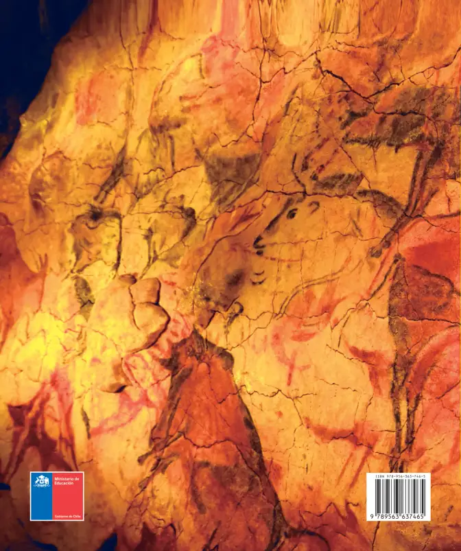 Página 162 de Historia, Geografía y Ciencias Sociales – Séptimo Básico | Texto del Estudiante MINEDUC – Descargar PDF · 2024