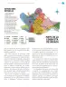 Miniatura página 122 de Nuestros saberes: México, grandeza y diversidad.   Libro de Educación Primaria Grado 4°  Ciclo Escolar 2025 - 2026