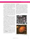 Miniatura página 35 de Ciencias Naturales 8° · Secundaria Activa