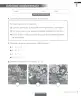 Miniatura página 101 de Lenguaje y Comunicación – Segundo Básico – Texto del Estudiante MINEDUC – Descargar PDF · 2024