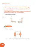 Miniatura página 183 de Matematica 7° · Postprimaria