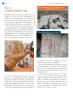 Miniatura página 35 de Nuestros saberes: México, grandeza y diversidad.   Libro de Educación Primaria Grado 4°  Ciclo Escolar 2025 - 2026