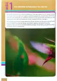 Miniatura página 7 de Ciencias Naturales 4° · Egb 4 Ciencias Naturales 2025 · 2025