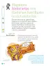 Miniatura página 59 de Proyectos de Aula.   Libro de Educación Primaria Grado 1°  Ciclo Escolar 2025 - 2026