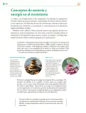 Miniatura página 289 de Colección Ximhai. Saberes y pensamiento científico.   Libro de Educación Telesecundaria Grado 1°  Ciclo Escolar 2025 - 2026