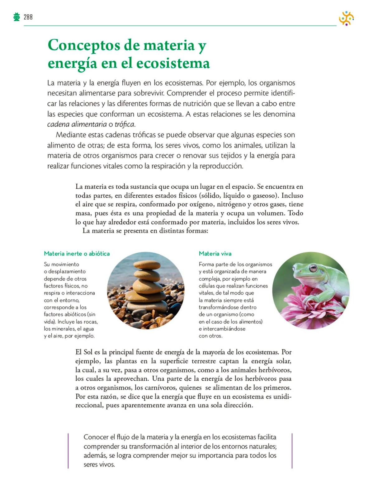 Miniatura página 289 de Colección Ximhai. Saberes y pensamiento científico.   Libro de Educación Telesecundaria Grado 1°  Ciclo Escolar 2025 - 2026