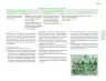 Miniatura página 74 de Posibilidades de trabajo para la acción transformadora y el codiseño. Ficheros. Fase 2  Libro de Educación Preescolar Grado 1°, 2°, 3°  Ciclo Escolar 2025 - 2026