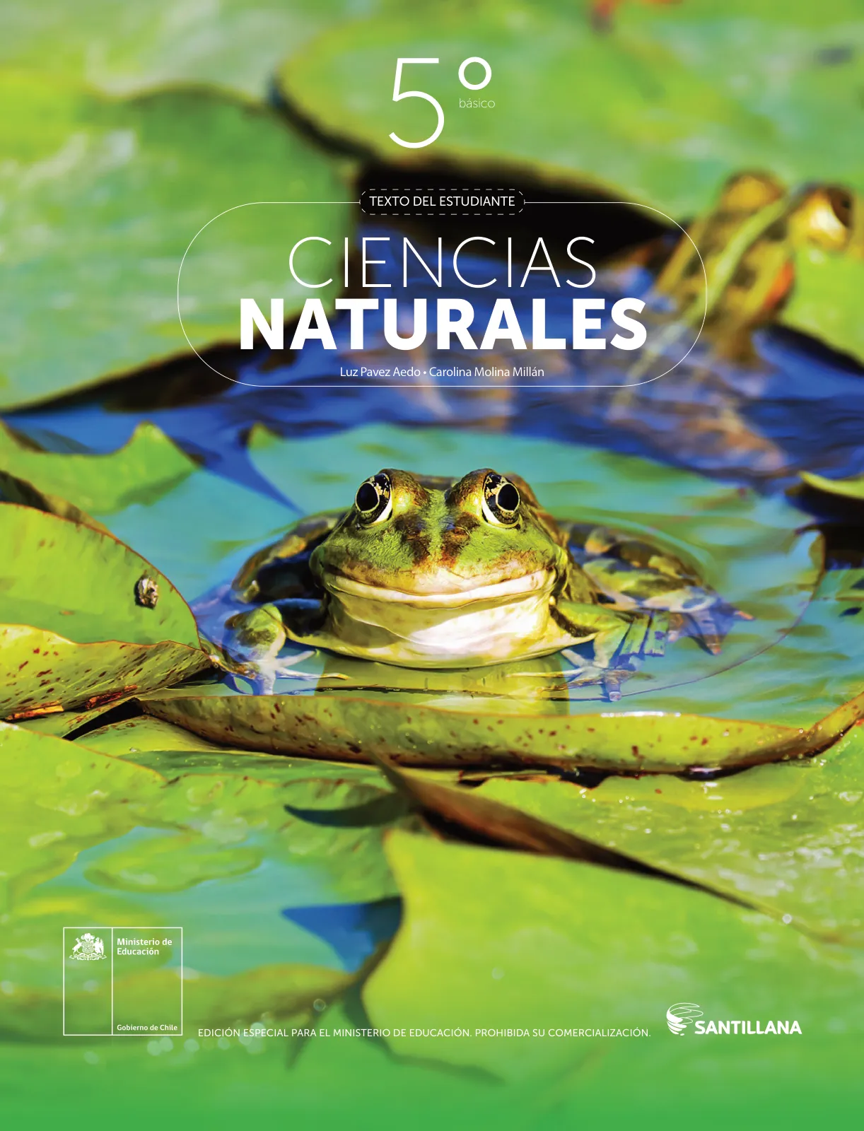 Portada de Libro de Ciencias Naturales – Quinto Básico | Texto del Estudiante MINEDUC – Descargar PDF · 2024