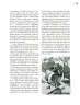 Miniatura página 32 de Crianza para la libertad. Libro para las familias. Fase 2  Libro de Educación Preescolar Grado 1°, 2°, 3°  Ciclo Escolar 2025 - 2026
