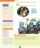 Miniatura página 31 de Ciencias Naturales – Segundo Básico | Texto del Estudiante MINEDUC – Descargar PDF · 2024