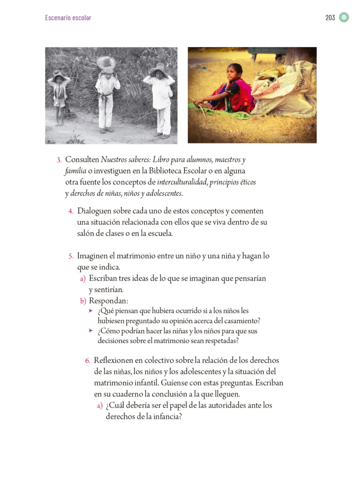 Página 206 de Proyectos Escolares. Libro de Educación Primaria Grado 5° Ciclo Escolar 2025 - 2026