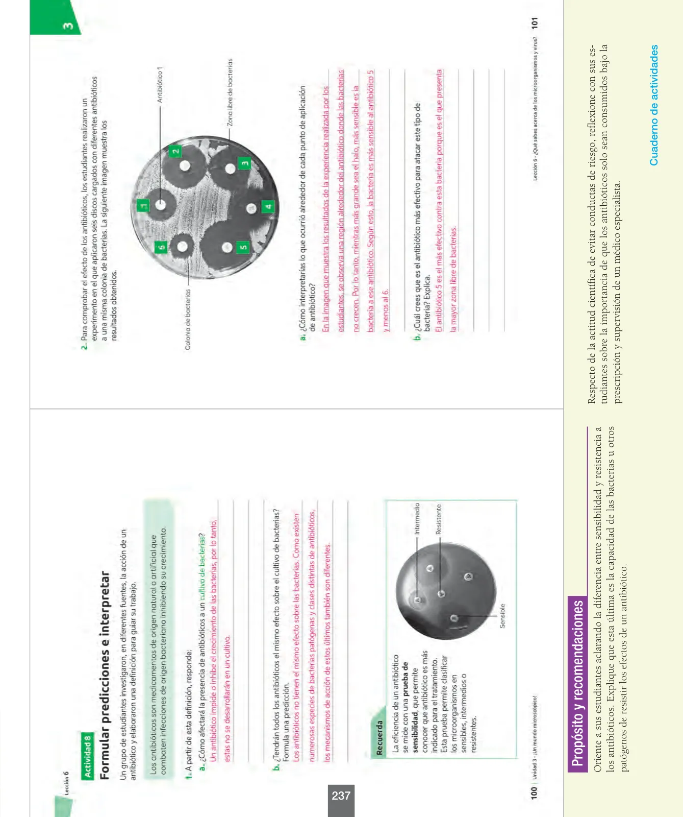 Miniatura página 62 de Ciencias Naturales – Séptimo Básico | Texto del Estudiante MINEDUC – Descargar PDF · 2024