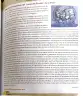 Miniatura página 83 de Lengua y Literatura 1° · 2025