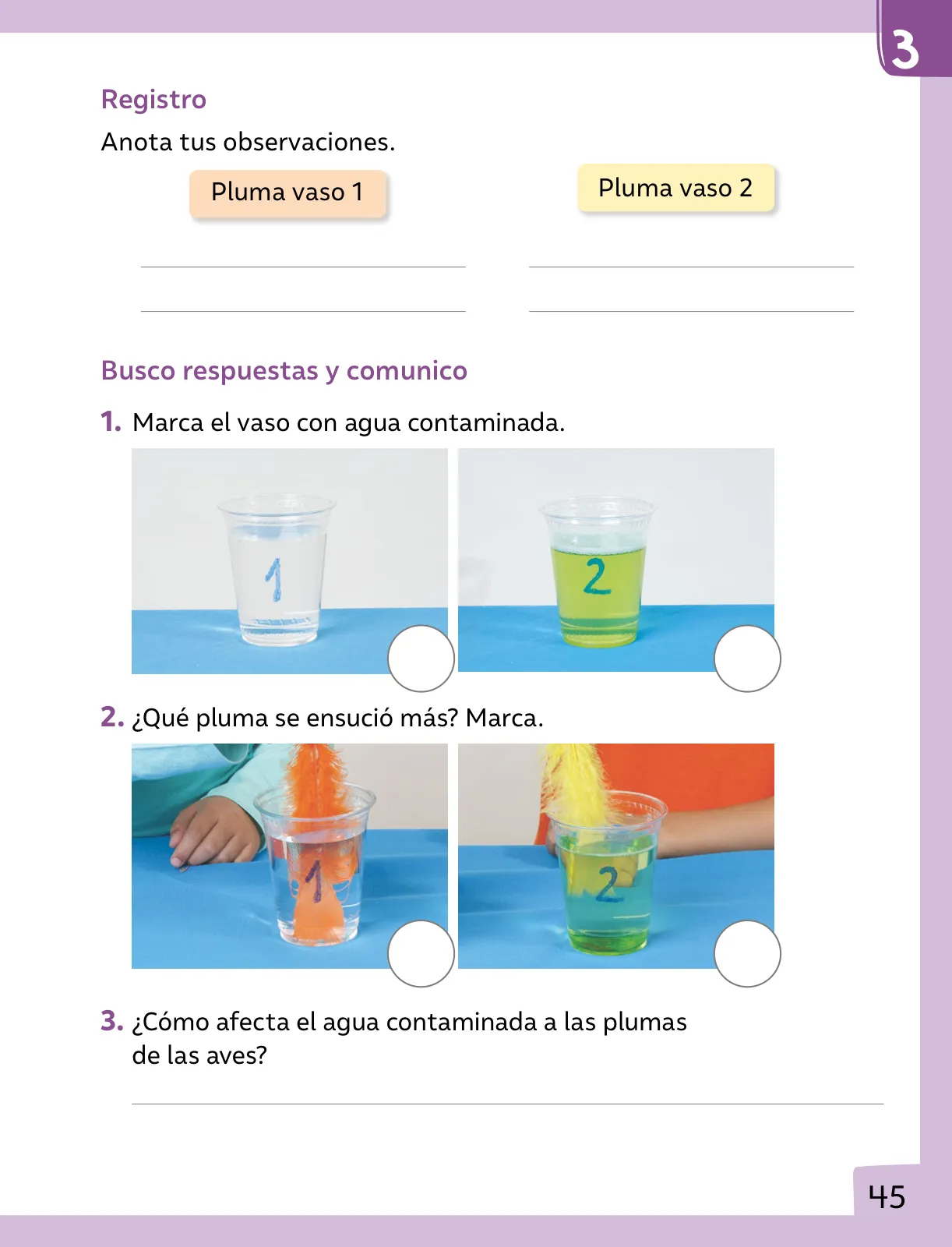 Miniatura página 46 de Ciencias Naturales – Primero Básico | Texto del Estudiante (MINEDUC) – Descargar PDF · 2024