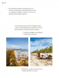 Miniatura página 201 de Proyectos de Aula.   Libro de Educación Primaria Grado 5°  Ciclo Escolar 2025 - 2026