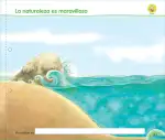 Pág 148