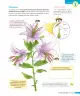 Miniatura página 74 de Ciencias Naturales – Tercero Básico | Texto del Estudiante MINEDUC – Descargar PDF · 2024