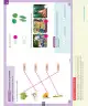 Miniatura página 172 de Ciencias Naturales – Primero Básico | Texto del Estudiante (MINEDUC) – Descargar PDF · 2024