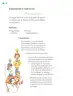 Miniatura página 165 de Proyectos de Aula.   Libro de Educación Primaria Grado 2°  Ciclo Escolar 2025 - 2026