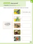 Pág 46