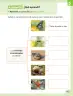 Miniatura página 46 de Ciencias Naturales – Segundo Básico | Texto del Estudiante MINEDUC – Descargar PDF · 2024