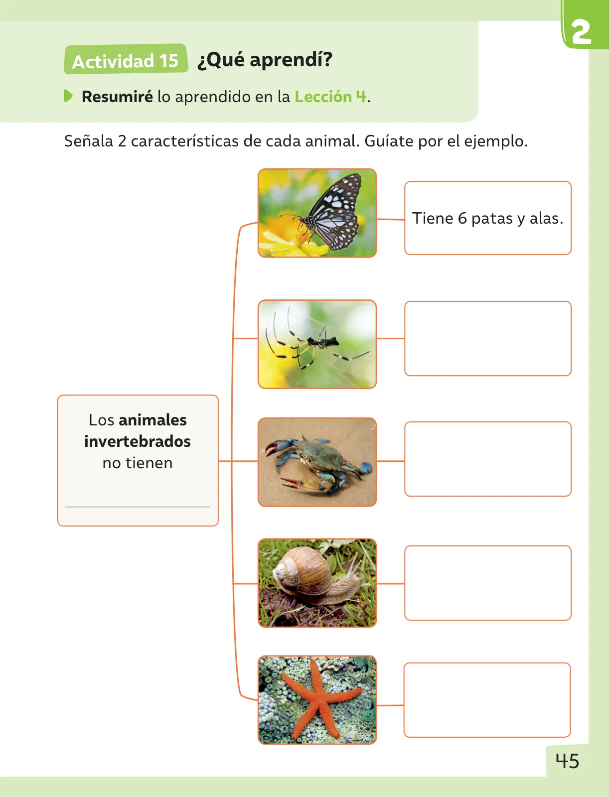 Pág 46