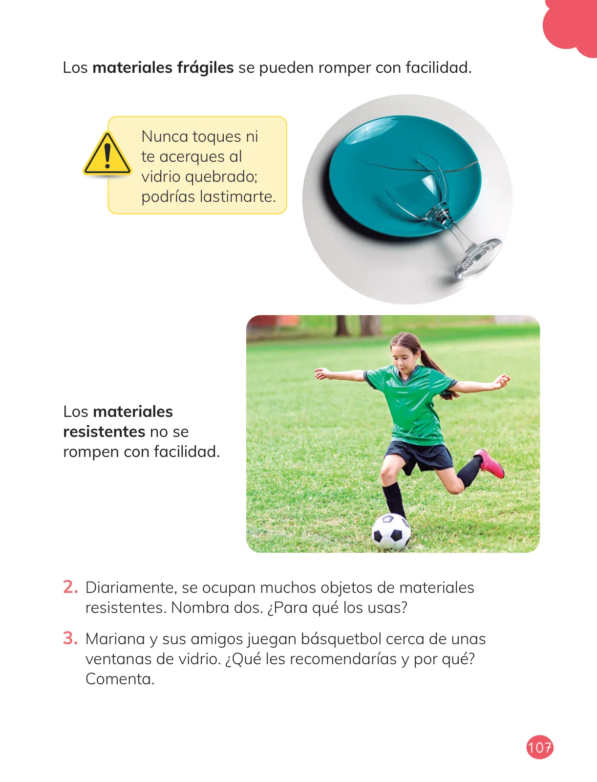 Página 109 de Ciencias Naturales – Primero Básico | Texto del Estudiante (MINEDUC) – Descargar PDF · 2024