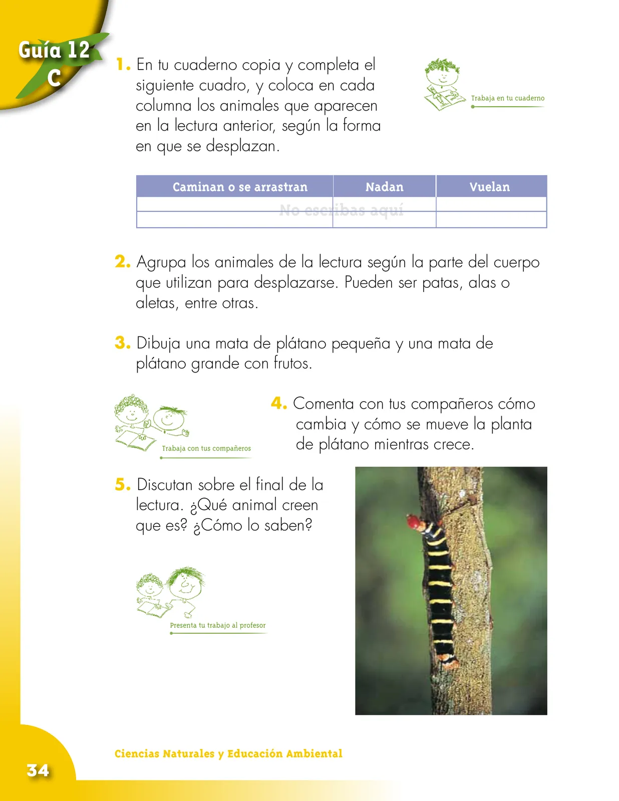 Miniatura página 34 de Ciencias Naturales 2° · Cartilla 02