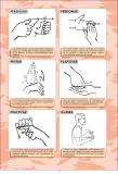 Miniatura página 171 de Lengua de señas peruana : guía para el aprendizaje de la lengua de señas peruana, vocabulario básico · 2015