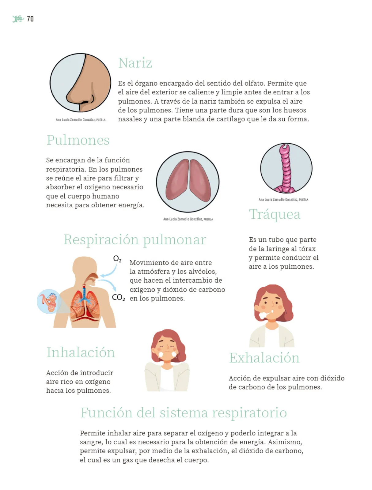 Página 71 de Nuestros saberes: Libro para alumnos, maestros y familia. Libro de Educación Primaria Grado 5° Ciclo Escolar 2025 - 2026
