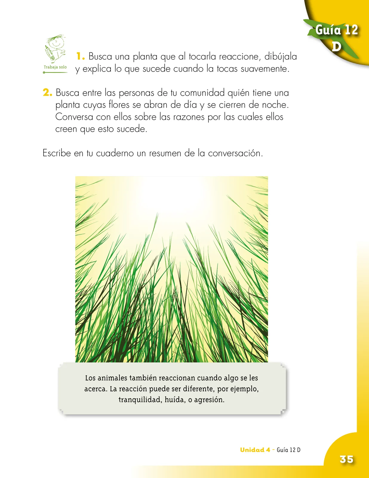 Miniatura página 35 de Ciencias Naturales 2° · Cartilla 02