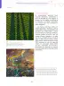 Miniatura página 33 de Aprendemos a través del lenguaje de las artes visuales Fascículo 1 para estudiantes de Educación Secundaria · 2024