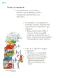 Miniatura página 175 de Proyectos Comunitarios.   Libro de Educación Primaria Grado 2°  Ciclo Escolar 2025 - 2026
