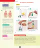 Miniatura página 15 de Ciencias Naturales – Segundo Básico | Texto del Estudiante MINEDUC – Descargar PDF · 2024
