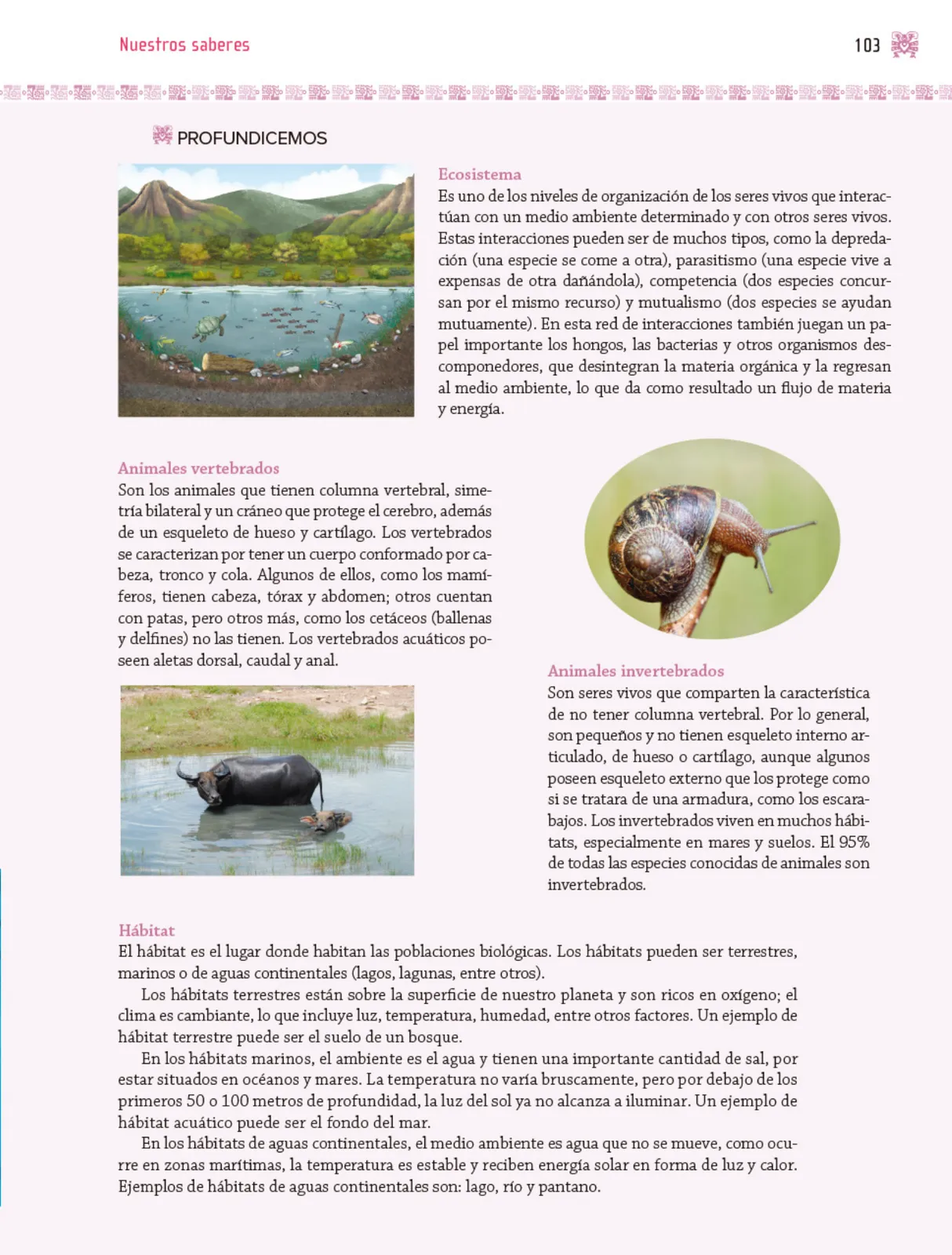 Miniatura página 104 de Nuestros saberes: Libro para alumnos, maestros y familia.   Libro de Educación Primaria Grado 3°  Ciclo Escolar 2025 - 2026